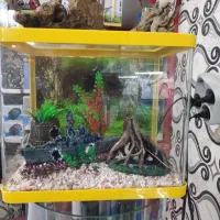 آکواریوم دلفین