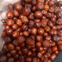 سبزی قرمه سرخ شده