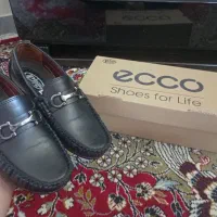 کالج پسرانه