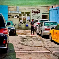 فقط کار بلد ماهر اقا خانم جای خواب، شام، صبحانه