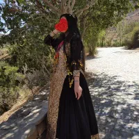 لباس محلی|لباس|شیراز, شهدای شهرک سعدی|دیوار