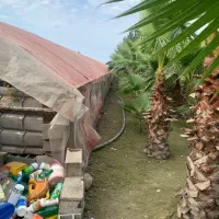 گلخانه ۲۰۰۰متری باسازه مستحکم، لب جاده اصلی