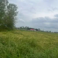 زمین فروشی /فلکه رازی/فلکده /تهاتر /سنددار|فروش زمین و ملک کلنگی|رشت, نظری|دیوار