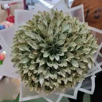 گل رز روبانی وپول آرای ترند سال|گل مصنوعی|گرمی, |دیوار