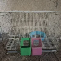قفس ۶۰در۴۰
