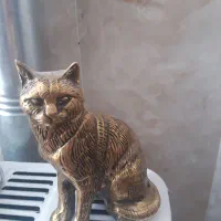 گربه برنجی وپارچ