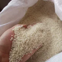 تولیدوفروش‌انواع‌برنج‌ های ‌معطراستان‌گیلان‌شهرشفت|خوردنی و آشامیدنی|شفت, |دیوار