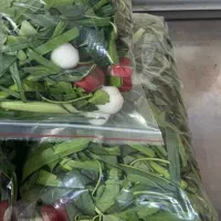 پاک کردن و بسته بندی سبزی