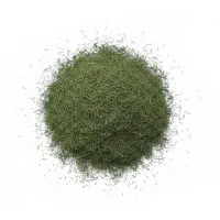 شوید خشک صادراتی درجه یک شسته شده
