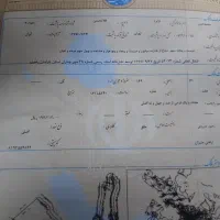 زمین-گلبهار