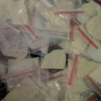 پودر شپش ورشک