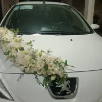 گل آرایی ماشین عروس|خدمات پذیرایی، مراسم|تهران, تهرانپارس جنوبی|دیوار