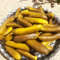 خیار شور نول و ممتاز مزنیک|عمده‌فروشی|تهران, میدان میوه و تره‌بار مرکزی|دیوار
