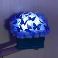 گل و چراغ خواب