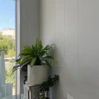 رهن و اجاره خانه ویلایی