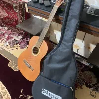 گیتار متا پور