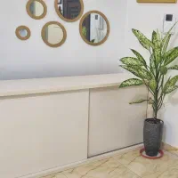 ام دی اف ۱۸۰|بوفه، ویترین، کنسول|رشت, گلزاران|دیوار