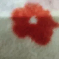 لوازم یدکی ماکسیما