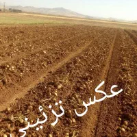 اجاره زمین کشاورزی آبی 25 هکتار، قیمت توافقی