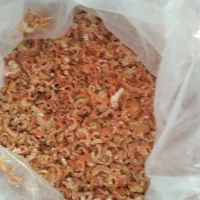 میگو خشک برنجی