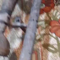 مشعل بزرگ|بخاری، هیتر، شومینه|ماهدشت, |دیوار