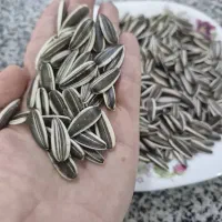 استاد کار آجیل پز