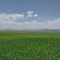 ویلا اجاره ای