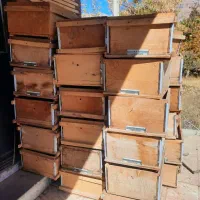 کندوی زنبور عسل|لوازم جانبی حیوانات|قزوین, |دیوار