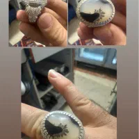 شجر منظره|بدلیجات|اهر, |دیوار