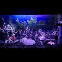 اکواریوم ۱ متری فول