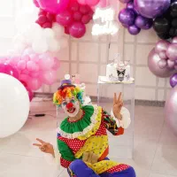 سیلورمن دلقک عروسک تن پوش