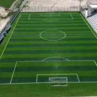 بازیکن چمن  چمن چمنی باز فوتبال