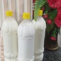 دوغ گوسفند