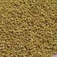 بذر یونجه درجه ۱
