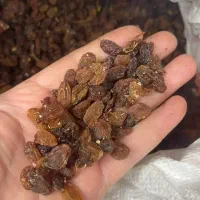 آفتابی خشک کشمش به ضمانت قیمت و کیفیت