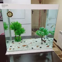 آکواریوم نو.