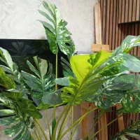 همکاری در سالن زیبایی|خدمات آرایشگری و زیبایی|بندر انزلی, کوی آزادگان|دیوار