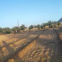 زمین گلخانه