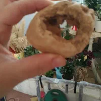 سنگ مرغ خداو سنگ فسیل
