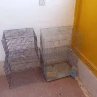 ۴عدد قفس  فروشی