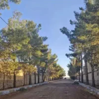 زمین-باغ-ویلا-باغرود-فرخک-غار-املاک-کیاشا