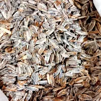 پخش تخمه آفتاب گردان|عمده‌فروشی|ساوه, |دیوار