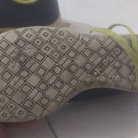 کفش ورزشی سالن|کیف، کفش، کمربند|دماوند, گیلاوند|دیوار