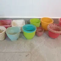 گلدون|گل و گیاه طبیعی|زابل, |دیوار