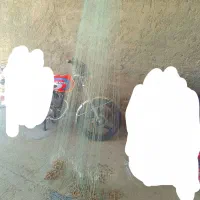 تور12بغل لیف دار فروش فوری فوری