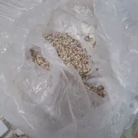 لوازم|ماهی|قم, نوبهار|دیوار