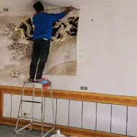 نقاشی ساختمان|خدمات پیشه و مهارت|دورود, |دیوار