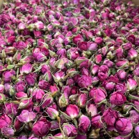 غنچه گل محمدی لاله زار صادراتی