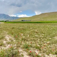 فروش-زمین-در-روستای-سرکندیزج