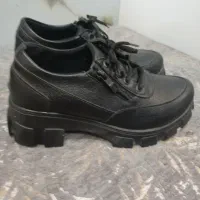 کفش اداری|کیف، کفش، کمربند|مهریز, |دیوار